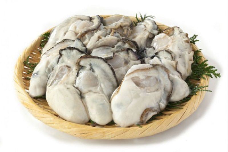 Hàu