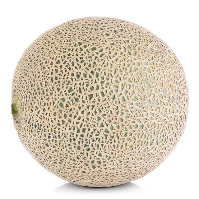 Dưa lưới